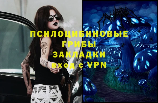 ALPHA PVP Богородицк