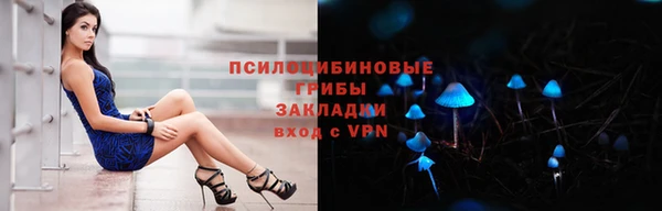 ALPHA PVP Богородицк