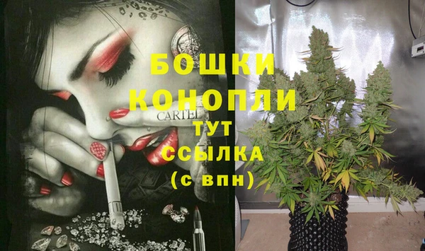 ALPHA PVP Богородицк